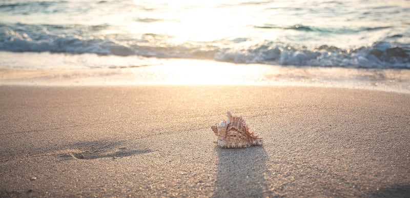 Summer Beach